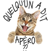 CHAT HAPPY SOMEONE SAID APÉRO 😸😽🥂🍺🍺🍷🍷