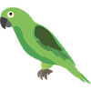 Parrot green