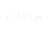 Hovawart Evolution Hundebesitzer Hunde Geschenk