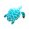 Sea turtle