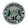 yosemite national park bear