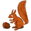 Squirrel with Nut