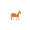 Islandske heste islandske pony ridning hjerteslag