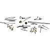 Chat Chat