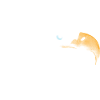 Adler Seeadler American Eagle