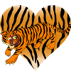 bengal tiger
