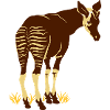 Okapi