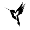 Hummingbird - Black and White