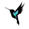 Emerald hummingbird