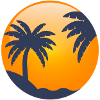Sun behind palm trees
