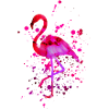 Flamingo Pink Art