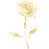 Rose icon gold flower silhouette