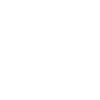 Guerrier Lion