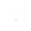 White tiger tiger head
