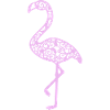 My Favorite Flamingo
