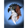 raptor head