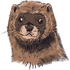 Mink ferret weasel gift idea