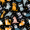 Animali spaziali, animali nello spazio, animali astronauti