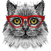 Chat