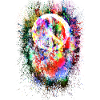 Peace symbol peace freedom love