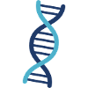 DNA HELIX