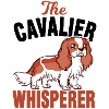 Cavalier King Charles Spaniel chuchoteurs canins