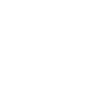 Cocker anglais