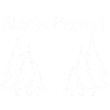 Forêt-Noire - silhouette de sapins