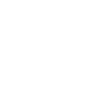 Bear polar bear