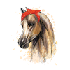 Horse Bandana ... horse