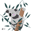 koala