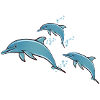 Dolphins