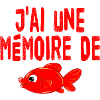 mémoire de poisson rouge