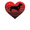 Dachshund Hearts Valentines Day Funny Dog Valentin