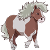 Shetty gift