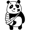 Panda broken arm