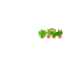 gardener