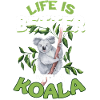 Koala bear