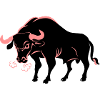 Bull aggressive