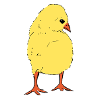 Go chick