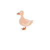 What The Duck