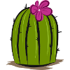 Cactus, cacti illustration