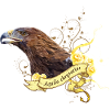 Aigle royal