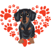 Dachshund love dachshunds