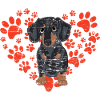 Dachshund heart dog lover Dachshund