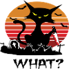 Funny Cat Saying