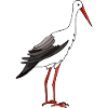 Stork