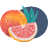 Pamplemousse