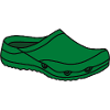 Surgical shoe