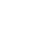 twin sister